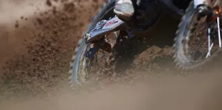 Imagen con estilo