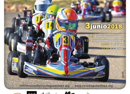 Series Rotax y Campeonato de Aragón de Karting